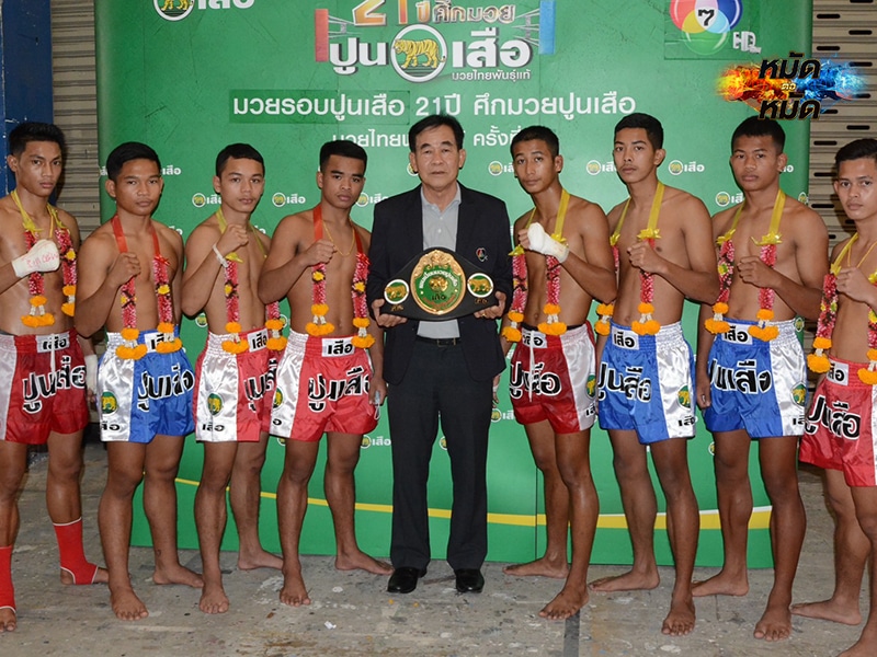 ข่าวมวย มวยรอบปูนเสือ