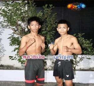 ไฮไลท์มวย ศึกเพชรยินดี พลายเงิน