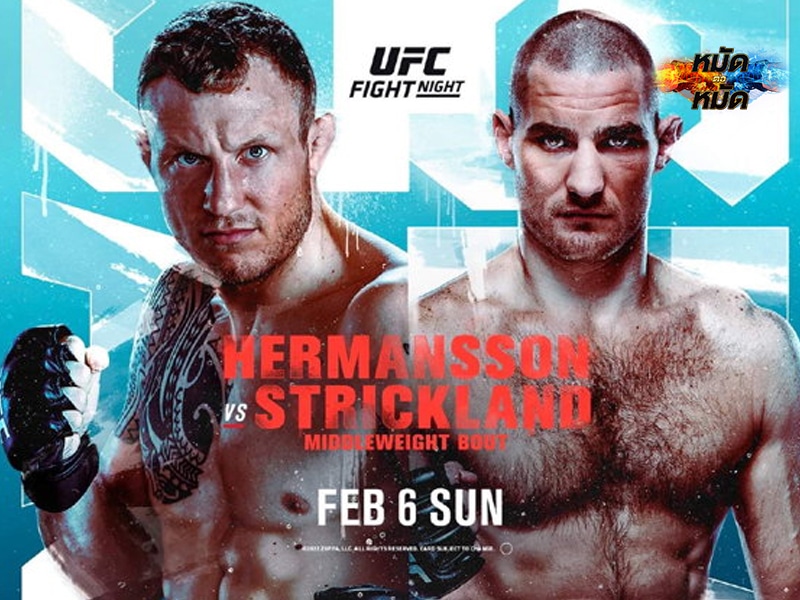 ข่าวมวย UFC เฮอร์มานโซ่