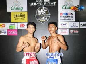 ไฮไลท์มวย ศึกช้างมวยไทยเกียรติเพชร เพชร