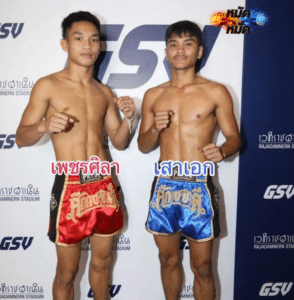 ไฮไลท์มวย ศึกเพชรยินดี เพชรศิลา