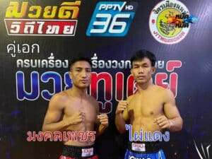 ไฮไลท์มวย ศึกมวยดีวิถีไทย ไผ่แดง