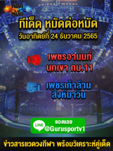 ศึกช้างมวยไทยเกียรติเพชร 24 ธ.ค. 65