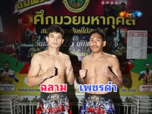 ไฮไลท์มวย