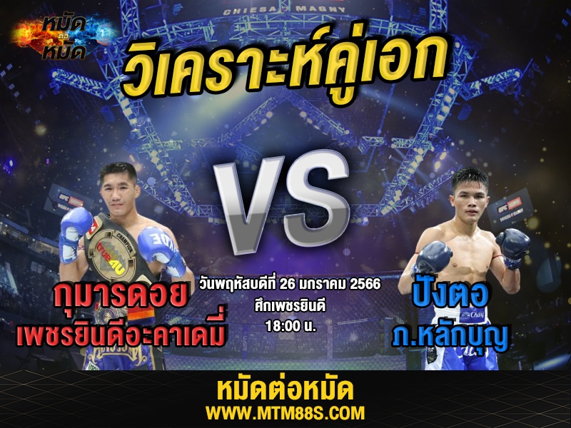 วิเคราะห์มวย