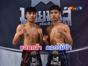 ไฮไลท์มวย