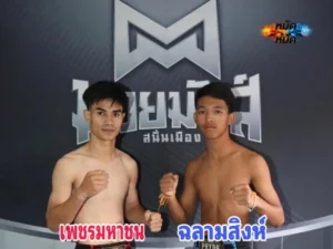 เพชรมหาชน