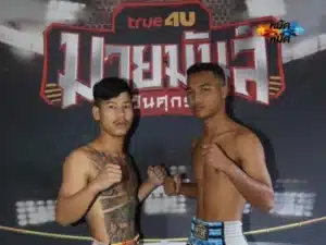 เพชรพิจิตร