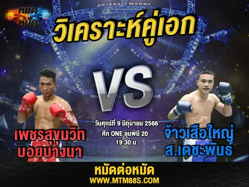 วิเคราะห์มวยวันนี้