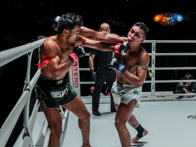 ผลมวย