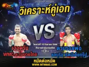 วิเคราะห์มวยวันนี้