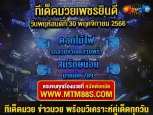ทีเด็ดมวยวันนี้