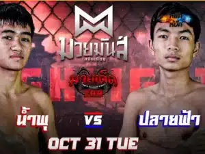 ไฮไลท์มวย