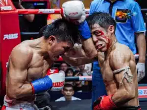 ปังตอ