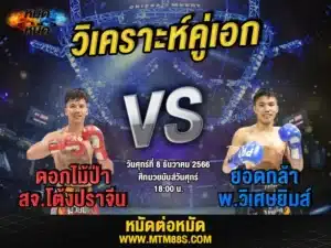 วิจารณ์มวยวันนี้