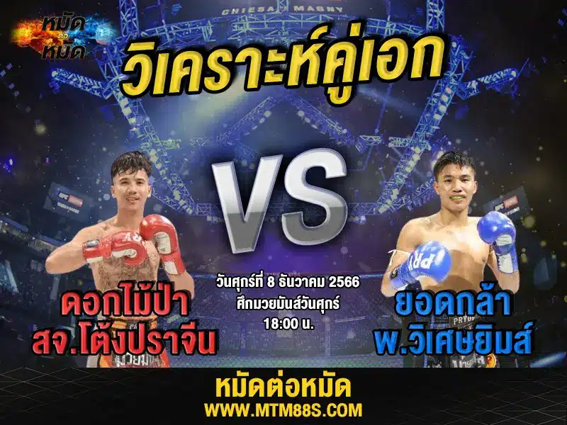 วิจารณ์มวยวันนี้