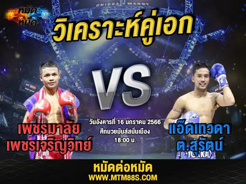 วิจารณ์มวยวันนี้