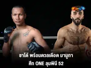 ชาโด้
