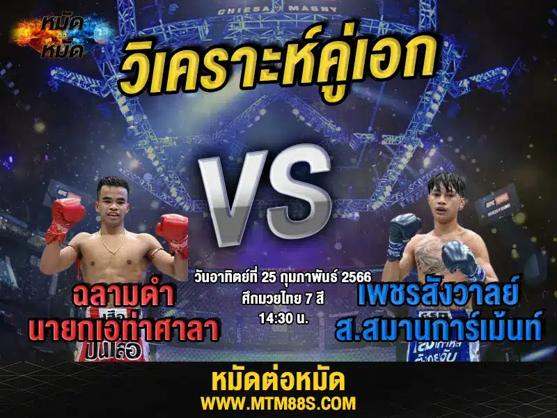 วิจารณ์มวยวันนี้