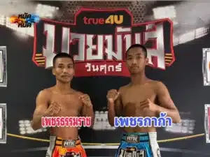 ไฮไลท์มวย