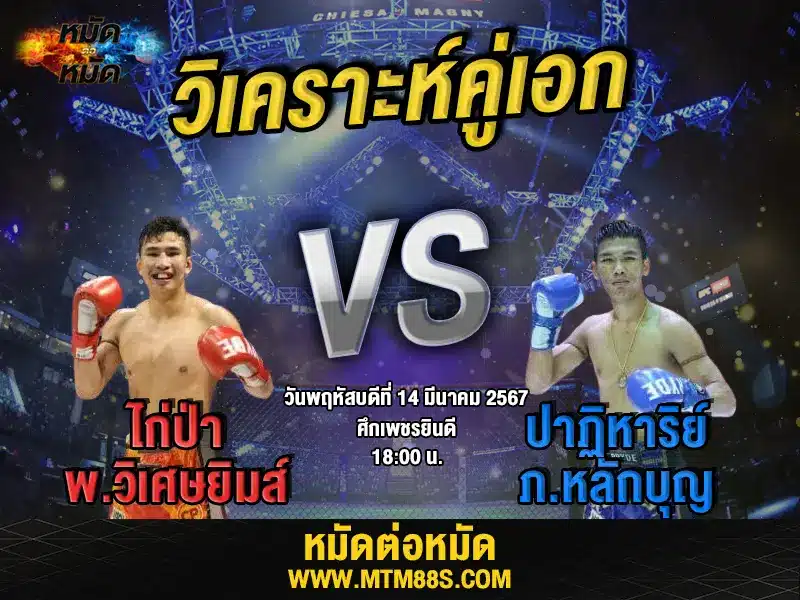 วิจารณ์มวยวันนี้