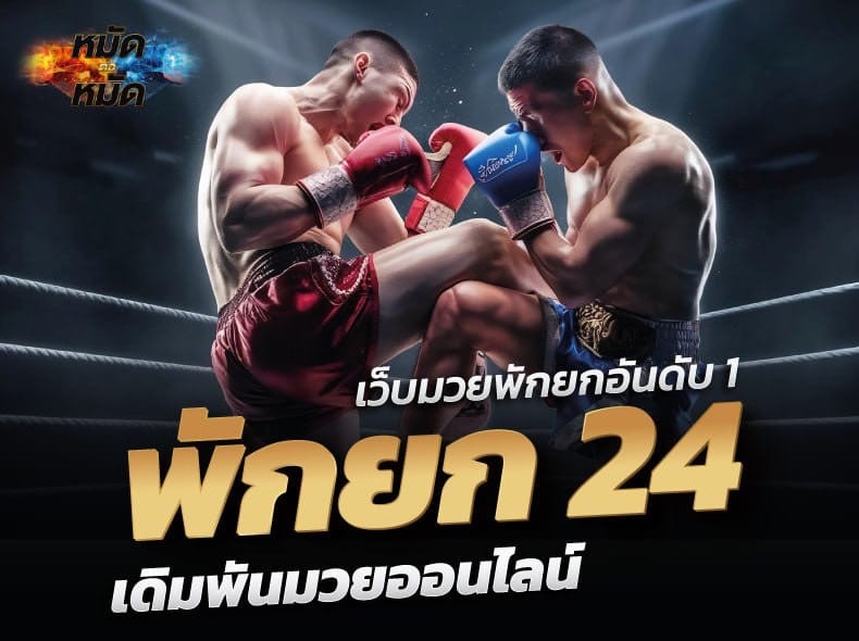 พักยก24