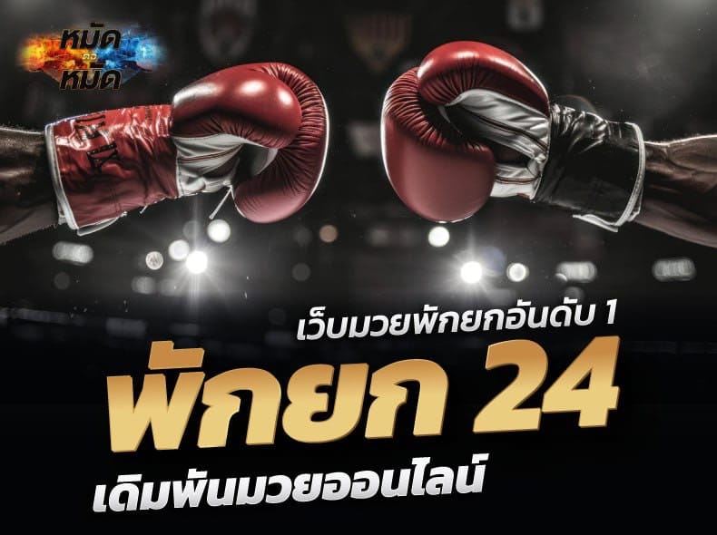 พักยก24