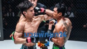 มวยพักยก24