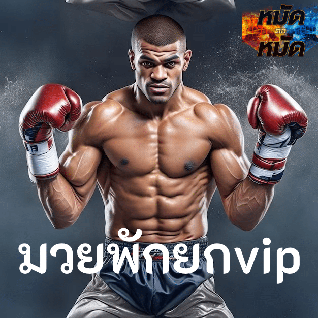 มวยพักยกvip