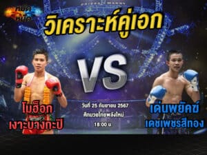 วิเคราะห์คู่เอก