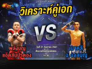 วิเคราะห์คู่เอก