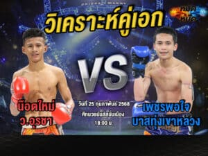 วิเคราะห์คู่เอก
