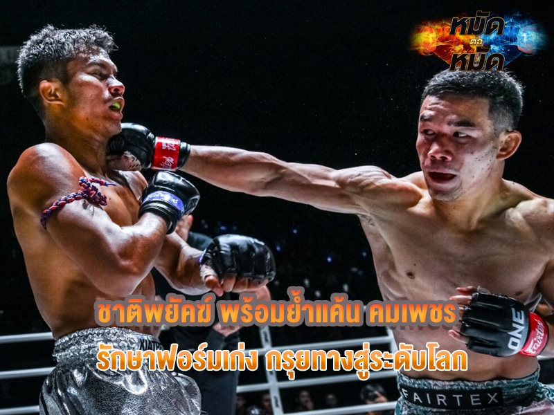 ชาติพยัคฆ์
