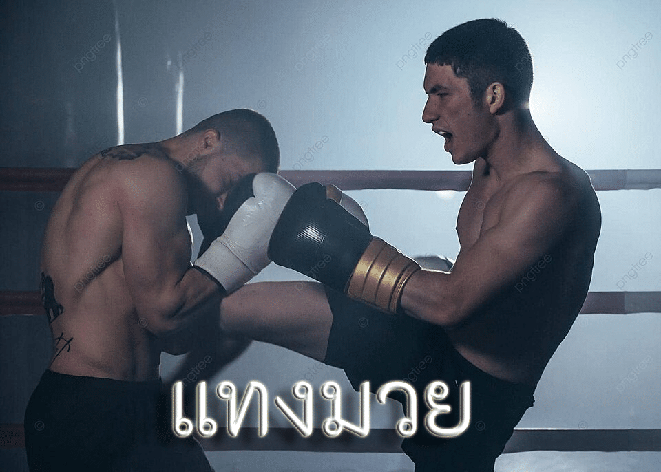 แทงมวย