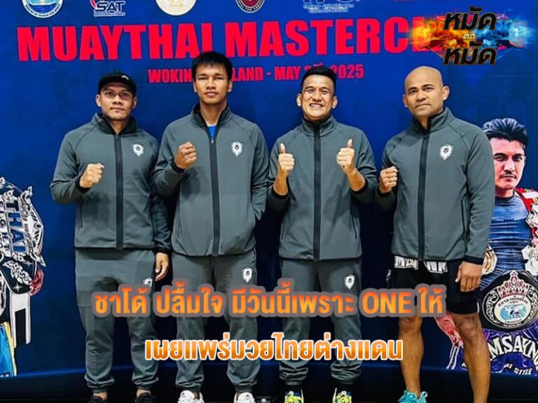 ชาโด้
