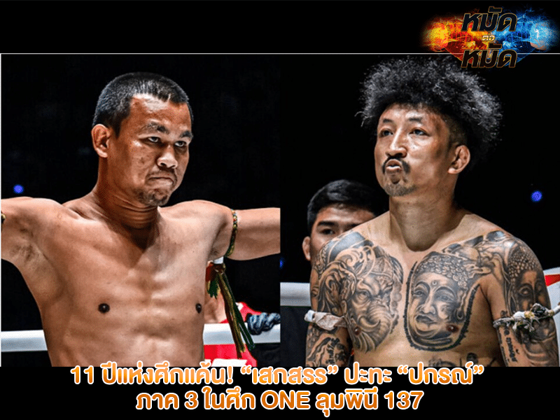 11 ปีแห่งศึกแค้น