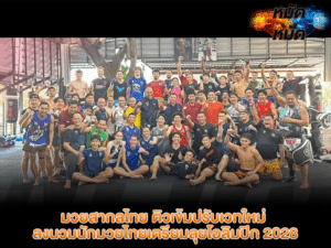 มวยสากลไทย