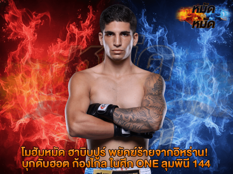 โมฮัมหมัด ฮาบิบปูร์